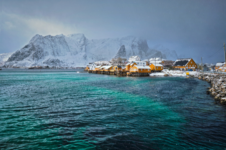 Yellow rorbu houses, Lofoten islands, Norwayの写真素材