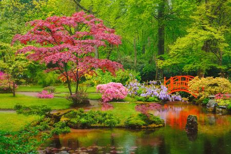 Japanese garden, Park Clingendael, The Hague, Netherlandsの写真素材