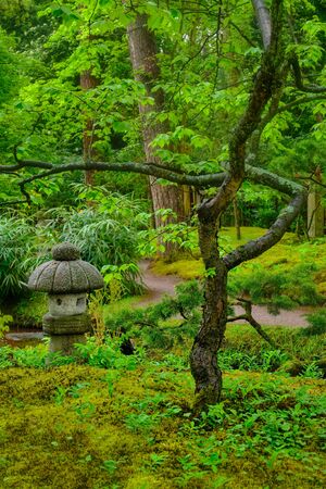 Japanese garden, Park Clingendael, The Hague, Netherlandsの写真素材