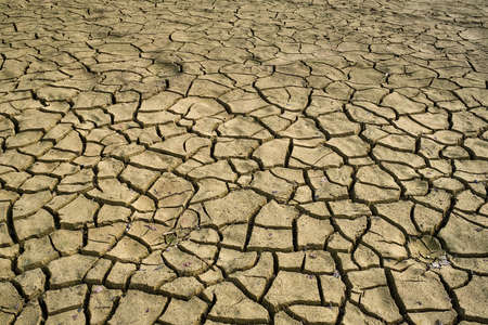 Cracked dry earth with cracks textureの写真素材