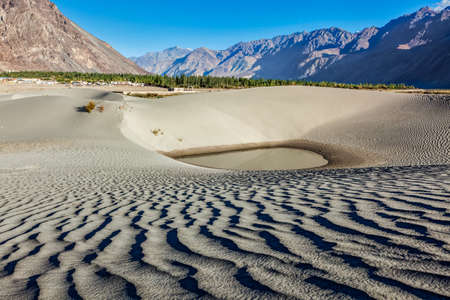 Sand dunes in Himalayasの写真素材