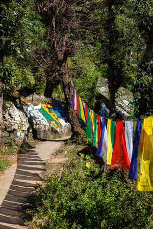 Buddhist prayer flags