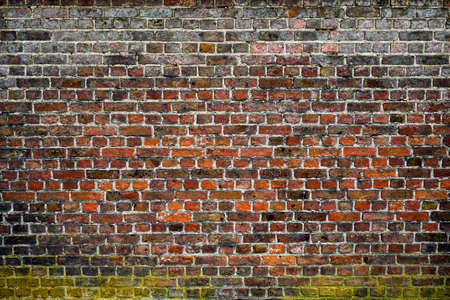 Brick wall texture backgroundの写真素材