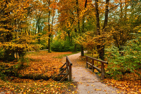 Munich English garden Englischer garten park in autumn. Munchen, Bavaria, Germany