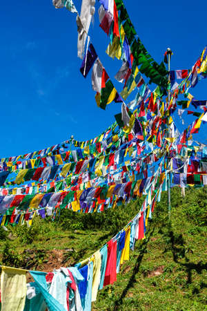 Buddhist prayer flags lunga in McLeod Ganj, Himachal Pradesh, Indiaの写真素材