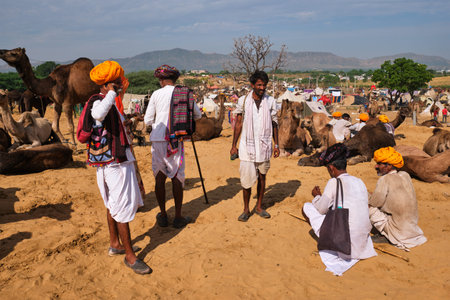 Pushkar, India - November 6, 2019: Indian men and camels at Pushkar camel fair (Pushkar Mela) -...