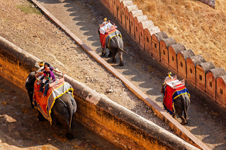 AMER, INDIA - NOVEMBER 18, 2012: Tourists riding elephants on ascend to Amer (Amber) fort, Rajasthan, India. Amer fort is famous tourist destination and landmarkのeditorial素材