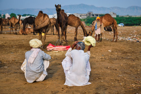 Pushkar, India - November 7, 2019: Indian rural villagers men and camels at Pushkar camel fair (Pushkar Mela) - - annual famous camel and livestock fair and tourist attractionのeditorial素材