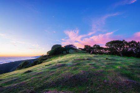 Sunrise above clouds and green hills at Fanal mountain, Madeira island, Portugalの写真素材