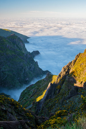Aerial view at Pico do Arieiro of mountains over clouds with blooming Cytisus shrubs on sunset with sunburst. Madeira island, Portugalの写真素材