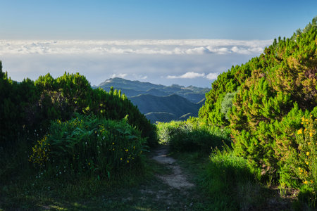 View from hike trail path to Pico Ruivo, Madeira