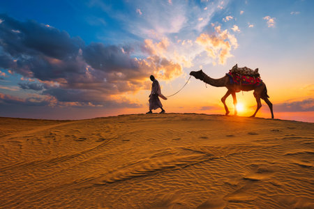 Indian cameleer camel driver bedouin with camel silhouettes in sand dunes of Thar desert on sunset....