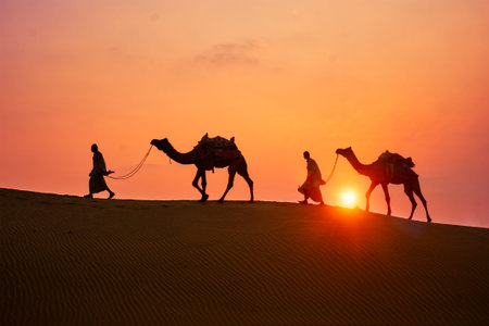 Indian cameleers camel drivers bedouin with camel silhouettes in sand dunes of Thar desert on...