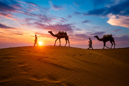 Indian cameleers camel drivers bedouin with camel silhouettes in sand dunes of Thar desert on sunset. Caravan in Rajasthan travel tourism background safari adventure. Jaisalmer, Rajasthan, Indiaの写真素材