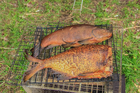 Fried fish over the coals on the barbecue outdoorsの写真素材