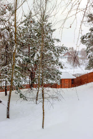 Winter trees in the snow on a background of the houseの写真素材