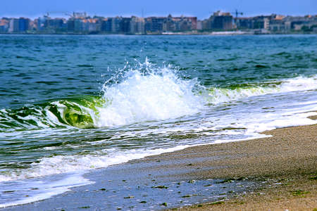 Sea coast in the summer against the backdrop of the cityの写真素材