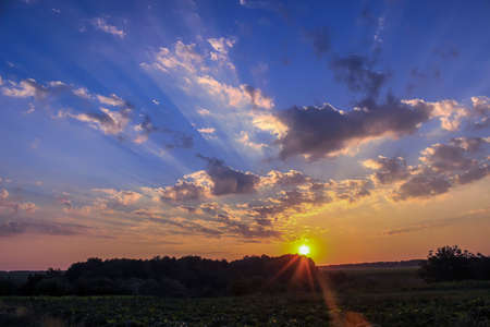 sunrise among a green fields in the treesの写真素材