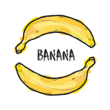 Banana vector art emblem for t-shirt printのイラスト素材