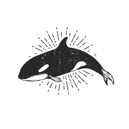 Logo of killer whale, flat orca for poster or iconのイラスト素材