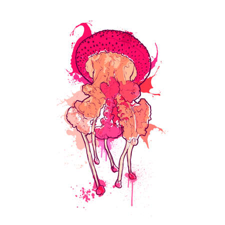 Medusa with long tentacles. Jellyfish artのイラスト素材