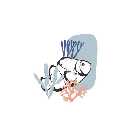 Clown fish with the corals vector illustrationのイラスト素材