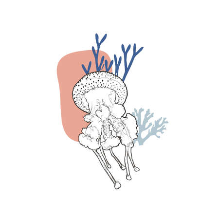 Medusa with the corals, flat vector illustrationのイラスト素材