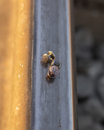 Handmade metal brass rivets located on the rail.