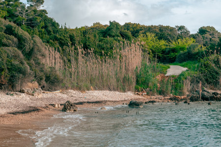 Coastal landscape of the coast of Katakolo, Greeceの写真素材