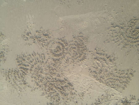 pattern on the sand, crab holesの素材