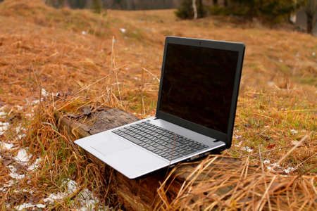 Opened laptop is standing on the log in the forest.の写真素材