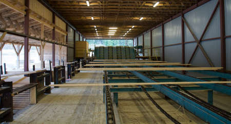 Cut wood planks are moving on conveyor to be stacked in sawmill.の写真素材