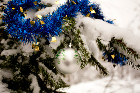 Silver ball and blue tinsel are decorating fir tree covered with snow.の写真素材