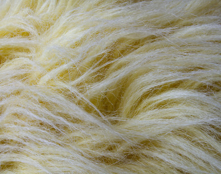 Closeup shot of yellow artificial fur from the stuffed toy.の写真素材