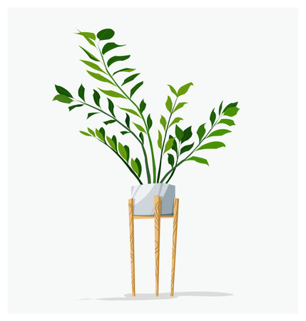 Home plant in a pot with a stand. Green houseplant Zamioculcasのイラスト素材