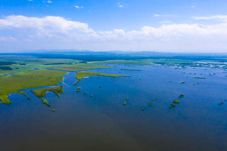 Green islands of land in riversの写真素材