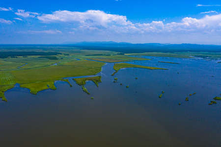 Green islands of land in riversの写真素材
