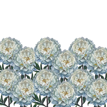 A bouquet of white peony flowers. Isolated on a blue background.の写真素材
