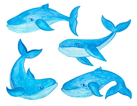 Watercolor seamless pattern with blue whale in cartoon style. Sea mammal. Nautical design.の写真素材