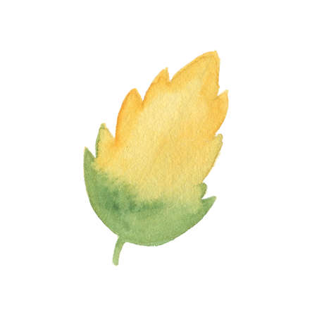 Watercolor autumn leaf isolated on white background. Perfect for wedding, holidays, invitation, birthdayの写真素材