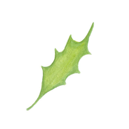 Watercolor autumn leaf isolated on white background. Perfect for wedding, holidays, invitation, birthdayの写真素材