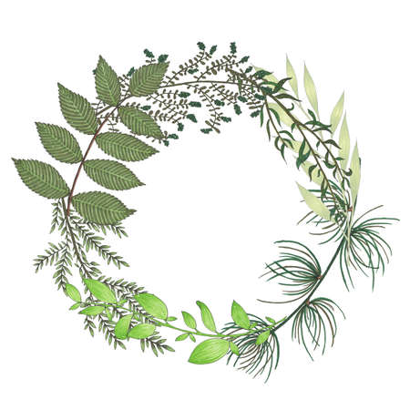 Hand painted with markers floral wreath with twig, branch and green abstract leaves. Botanical illustration isolatedの写真素材