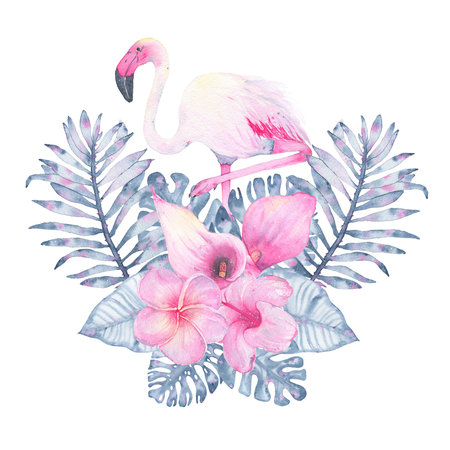 Watercolor hand painted tropical flower bouquet pink calla hibiscus frangipani and leaves of indigo palm monstera isolated on white background. Floral illustration arrangement. Botanical artの写真素材