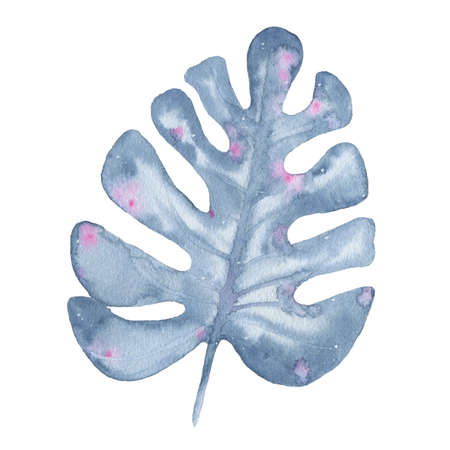 Watercolor tropical hand painted indigo palm tree leaf isolated on white background. Floral illustration. Botanical artの写真素材