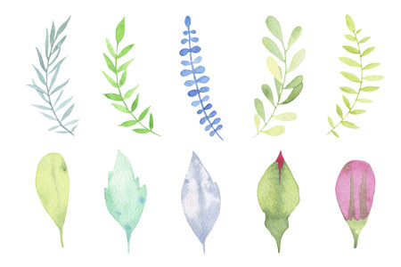 Watercolor hand painted leaves set isolated on white background. Floral illustration. Botanical artの写真素材