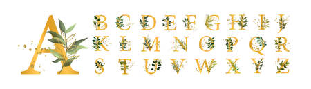 Golden floral alphabet font uppercase letters with flowers leaves and gold splatters isolated on white background. Vector illustration for wedding, greeting cards, invitations template designのイラスト素材