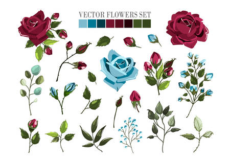 Set of bordo burgundy and navy blue rose flowers and green leaves. Maroon floral bouquets, branch, arrangements for wedding invitation save the date or greeting card design. Vector illustrationのイラスト素材