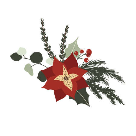 Christmas winter floral bouquet with poinsettia, spruce branches, berry and green leaves. Vector illustration in hand drawn cartoon flat styleのイラスト素材