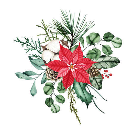 Watercolor christmas winter bouquet arrangement with fir branches, green leaves, poinsettia, cottons. Winter bouquet isolated on white background. Botanical greenery illustrationの写真素材