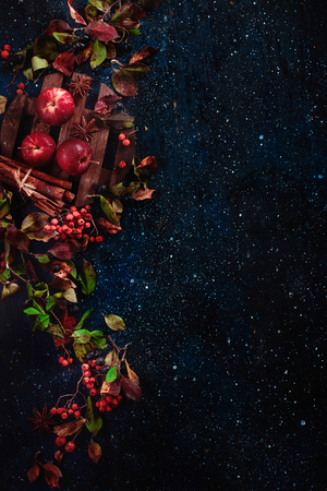 Dark floral background with little apples, autumn leaves, berries, rowan, cinnamon and ingredients for autumn hot drinks on a dark wooden table. Dark food photography with copy space.の写真素材